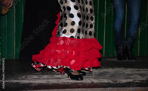 the dancer dances flamenco on the typical tablao