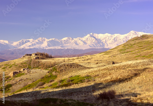 The North-Chui range in the Altai Mountains. A rocky slope in the Kurai steppe, snow-capped mountains in the distance under a blue sky. Pure Nature of Siberia, Russia