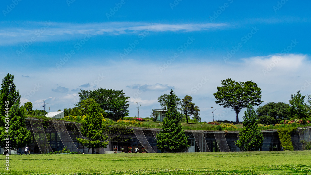 Beautiful garden and park in japan Beautiful garden and park in japan