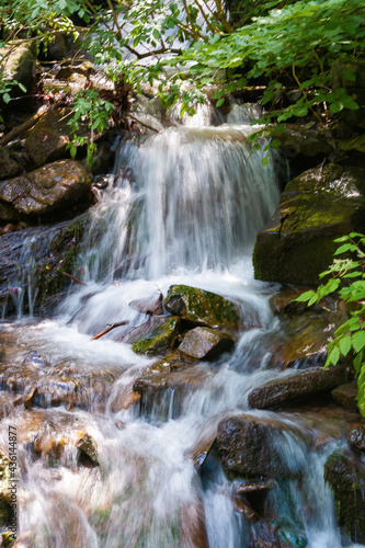 stream among the stones in the forest. water flows down the small cascades. wonderful nature background. freshness concept