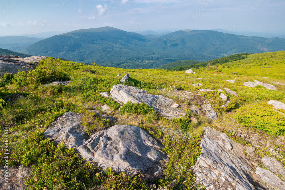 carpathian mountain landscape on bright forenoon. stunning view in to the distance in morning light carpathian mountain landscape on bright forenoon. stunning view in to the distance in morning light