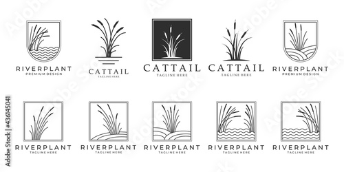 Photo set Cattails logo bundle vector illustration design, cattail icon