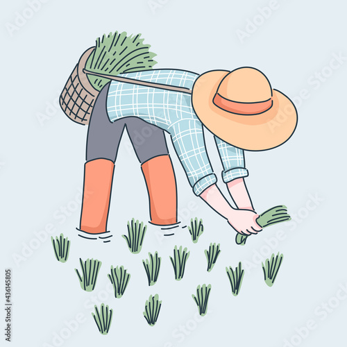 farmer planting rice illustration