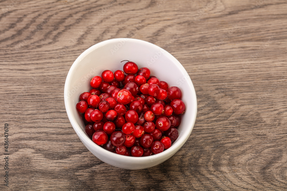 Sweet and tasty cranberry in the bowl Sweet and tasty cranberry in the bowl