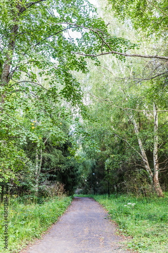 The dendrological garden in the Pleshcheyevo National Park near  Pereslavl-Zalessky, Russia photo