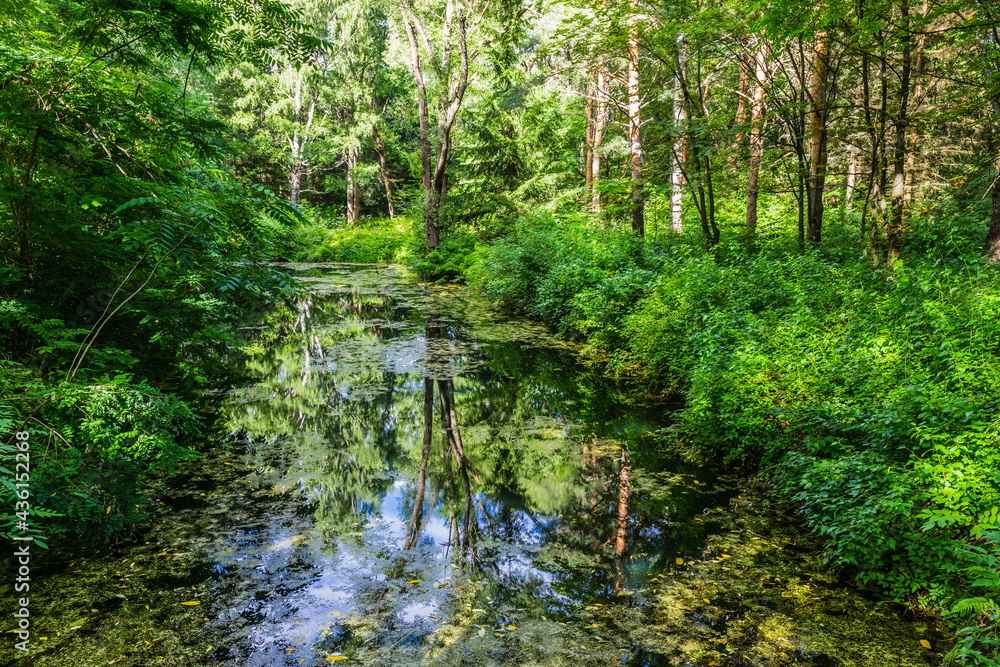 The dendrological garden in the Pleshcheyevo National Park near Pereslavl-Zalessky, Russia The dendrological garden in the Pleshcheyevo National Park near Pereslavl-Zalessky, Russia