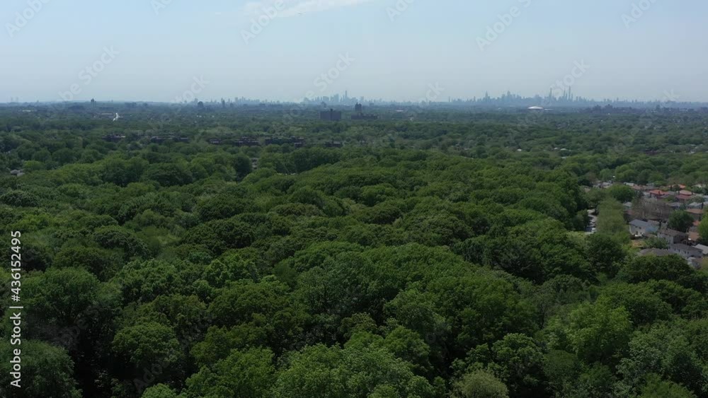 An aerial view above green tree tops in a park on a sunny day. The drone camera, focused on the New York City skyline in the distance on the horizon, boom up higher over the trees. An aerial view above green tree tops in a park on a sunny day. The drone camera, focused on the New York City skyline in the distance on the horizon, boom up higher over the trees.