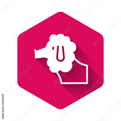 White French poodle dog icon isolated with long shadow. Pink hexagon button. Vector