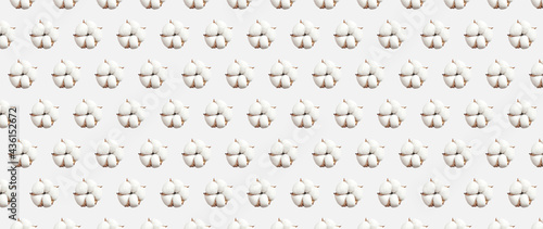 Pattern from white cotton flowers isolated on light gray background flat lay. Delicate beauty cotton background. Natural organic fiber, agriculture, cotton seeds, raw materials for fabric
