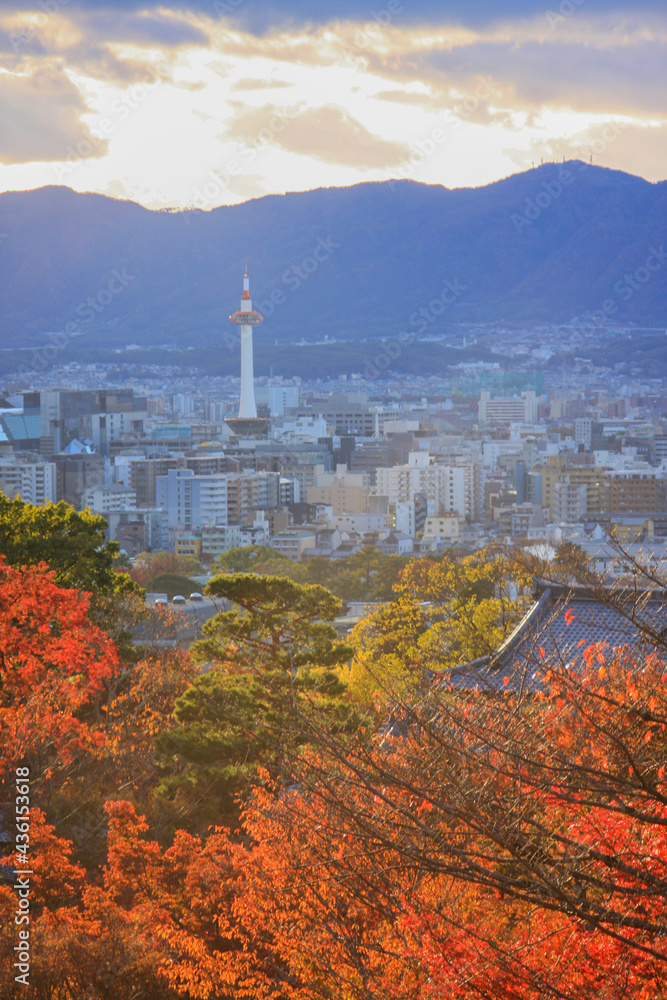 Naklejka premium view of the kyoto tower