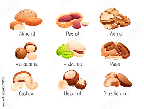Set of nut icons, whole and cracked nuts