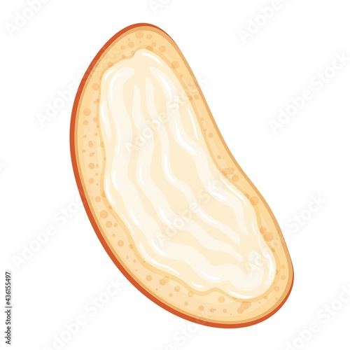 Bruschetta. Summer white bread sandwich with butter. Healthy breakfast. Vector illustration isolated on white background.
