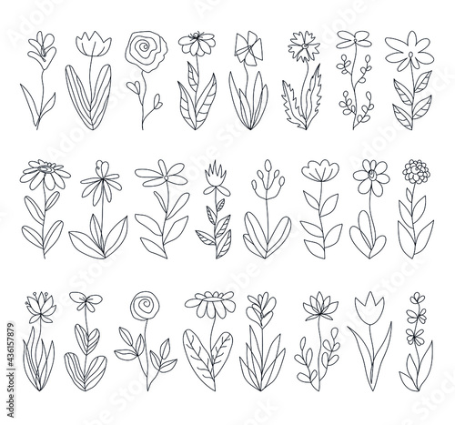 Set of vector flowers in boho style on a white background. Linear illustration. Silhouettes of flowers in the style of minimalism. Abstract Flowers Art design for print, cover, wallpaper, wall art.