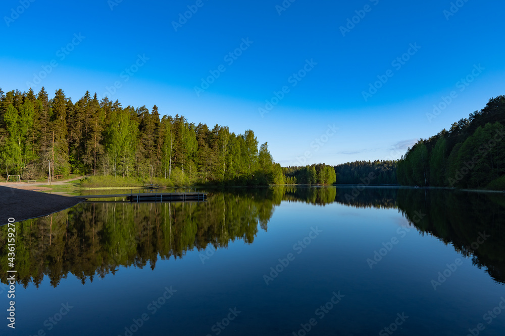 reflection of trees in lake