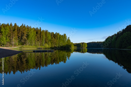 reflection of trees in lake © Wojciech