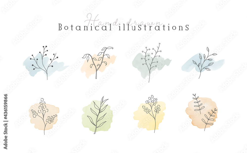 植物の線画イラストのセット 水彩 シンプル ボタニカル ナチュラル 葉 自然 おしゃれ Stock ベクター Adobe Stock