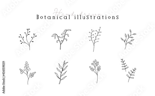 植物の線画イラストのセット　シンプル　ボタニカル　ナチュラル　葉　自然　おしゃれ
