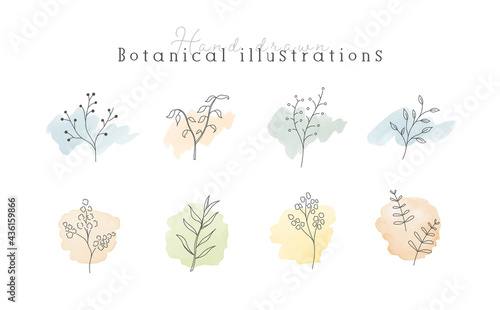 植物の線画イラストのセット　水彩　シンプル　ボタニカル　ナチュラル　葉　自然　おしゃれ