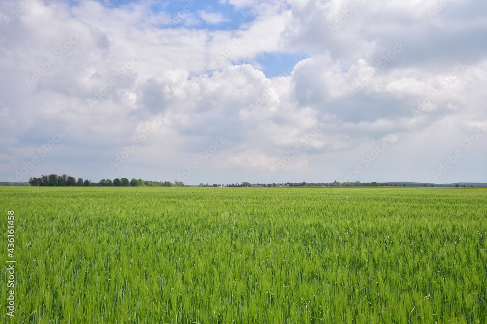 Natur, Feld und Himmelszelt Natur, Feld und Himmelszelt