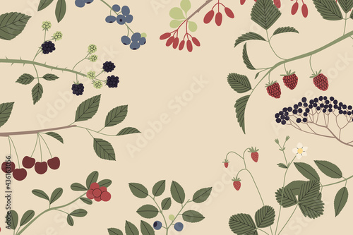 Vector color hand drawn square berry frame. Flat illustration of branches with leaves  flowers and berries.