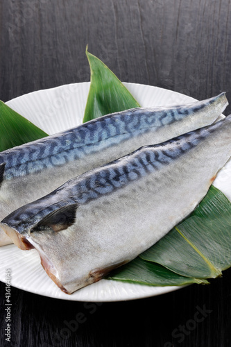 塩鯖 Salted mackerel