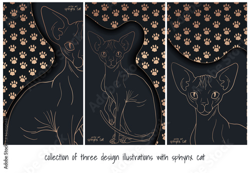 collection of three design with sphynx cat in black and gold