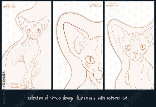 vector illustration with Sphynx cat in cartoon style, light gold and white