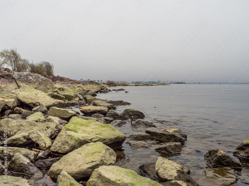 The coast of the Gulf of Finland. Huge rocks on the shore. Rocks covered with algae, moss. Clean water. Cloudy weather. Beautiful natural landscape. City in the background