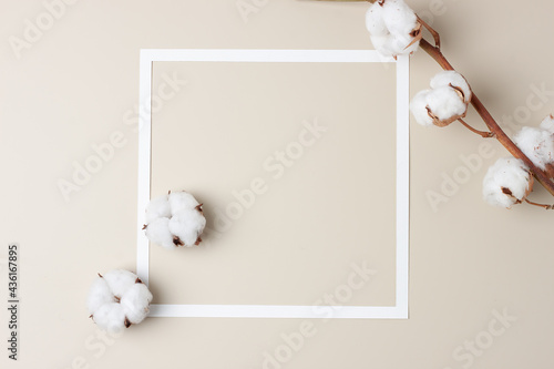 White frame with cotton flower on beige background. Flat lay, copy space.
