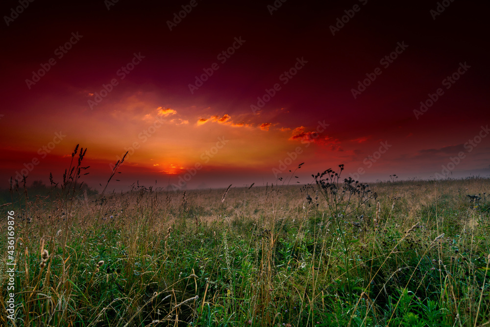 sunrise over the field in abstract red colours