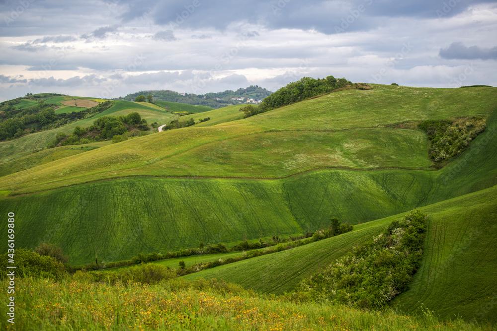 Fototapeta premium Paysage rural en Italie dans la région des Marches