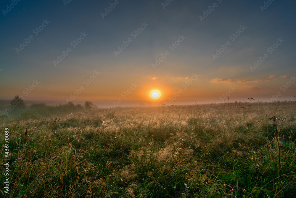 dawn over the field in central russia