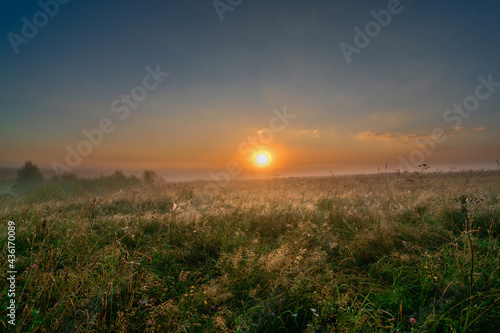 dawn over the field in central russia