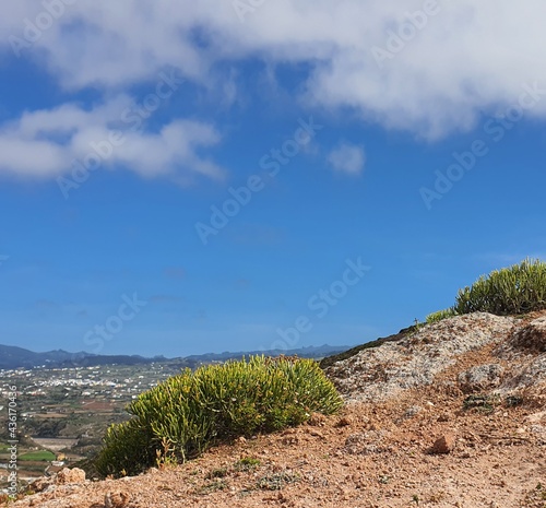 joshua tree national park
