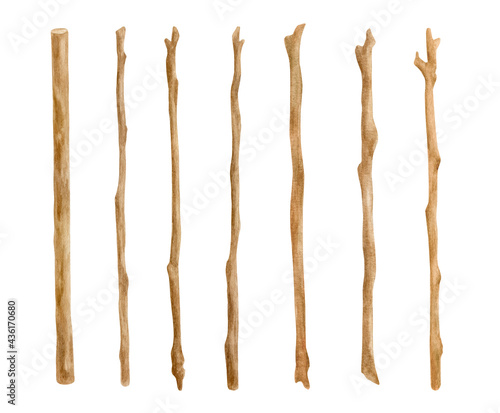 Watercolor wooden sticks set. Hand drawn tree branches isolated on white. Bare twigs decoration, wood trunks, rustic natural design