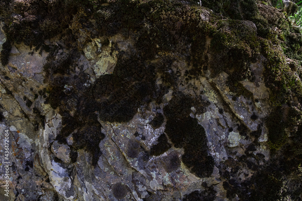 stone texture. Closeup of rough texture of large moss covered rock. Stone surface for natural background. Close-up of blurred stone background texture