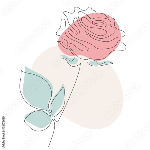 Rose Line art. Vector illustration. Continuous line drawing and colored spots. Abstract minimal Beautiful flower design for cover, prints, Home decor picture, Design, print, decor and postcards