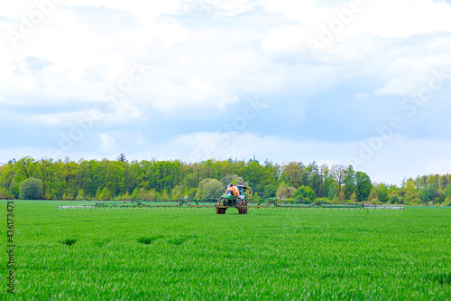 Tractor spraying pesticides on vegetable field with sprayer.