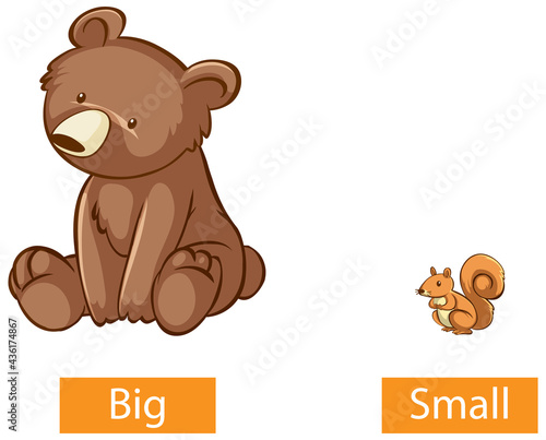 Opposite adjectives words with big and small