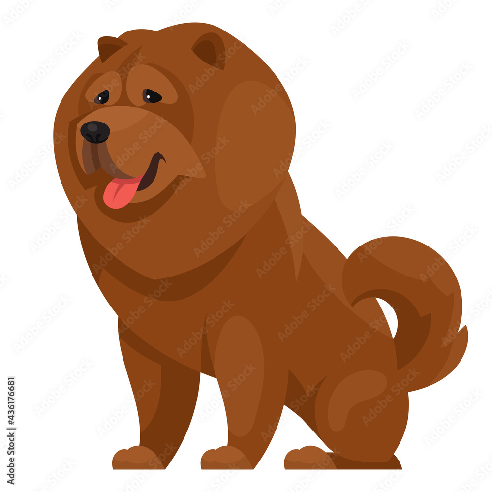 Fototapeta premium Sitting Chow Chow. Beautiful dog in cartoon style.