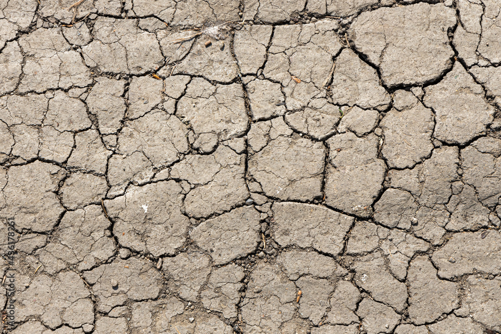 Texture of Brown cracked soil path is in a summer park Texture of Brown cracked soil path is in a summer park