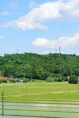 宮城 小さな村の田植えの後