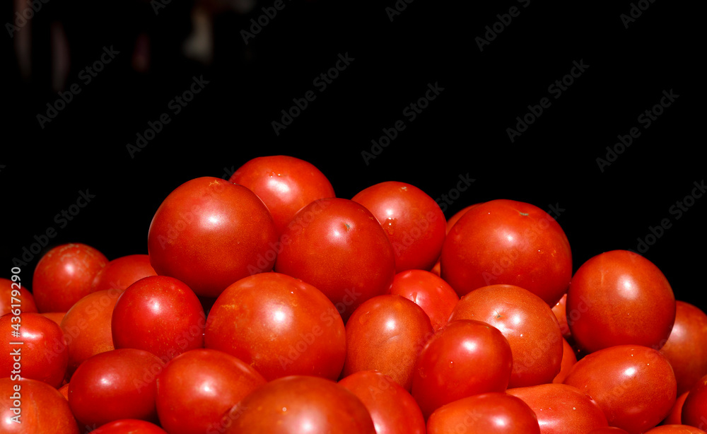 Lots of ripe fresh red tomatoes. Concept harvest, market, healthy food, growing natural vegetables. Background with copy space. Lots of ripe fresh red tomatoes. Concept harvest, market, healthy food, growing natural vegetables. Background with copy space.