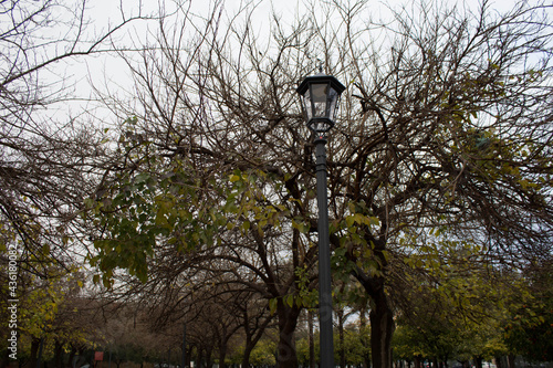 Konstfotografi el parque