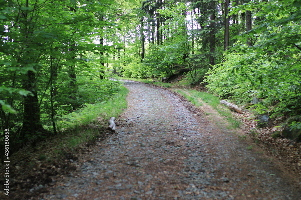 Obraz premium Szlak górski