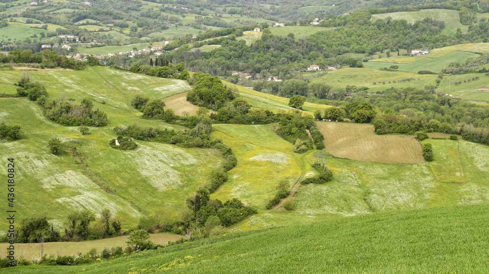 Paysage rural en Italie dans la région des Marches Paysage rural en Italie dans la région des Marches