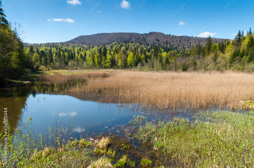 The Bobrowe Lake at the foot of the Chryszczata Mountain in the Baligród Forest District. Rabe, Bieszczady Mountains The Bobrowe Lake at the foot of the Chryszczata Mountain in the Baligród Forest District. Rabe, Bieszczady Mountains