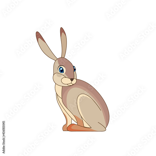 A beautiful jackrabbit (Lepus californicus) or American desert hare sits. Scene from wild. Cartoon character vector flat illustration isolated on a white background