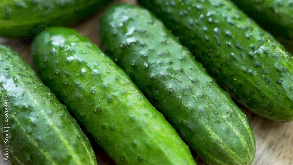 Fresh Cucumbers, Macro. Isolated Background of Cucumbers, Vegetables. Harvest Of Cucumbers. Cucumbers on The Counter Of A Store, Market. Healthy Vegetarian Food and Nutrition. Fresh Cucumbers, Macro. Isolated Background of Cucumbers, Vegetables. Harvest Of Cucumbers. Cucumbers on The Counter Of A Store, Market. Healthy Vegetarian Food and Nutrition.