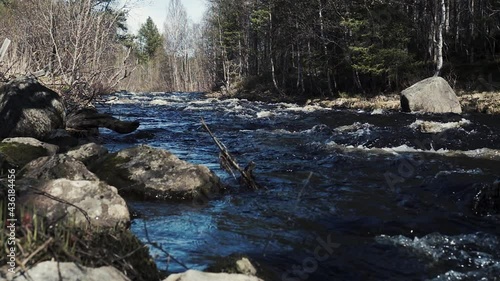 river in the forest